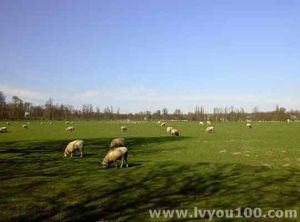 賀蘭山國家狩獵場