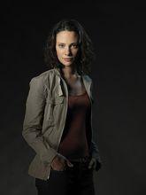 破釜沉舟[美國2012年安德魯·布勞爾主演電視劇]