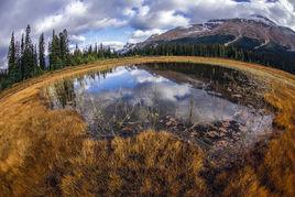 廣角圖像 廣角圖像