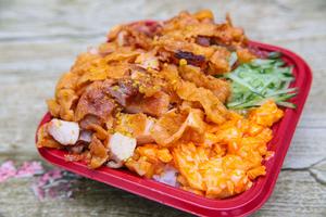 脆皮雞飯 脆皮雞飯