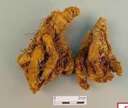 荊芥穗湯 荊芥穗湯