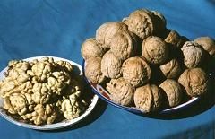 盧龍核桃 盧龍核桃