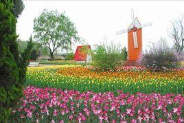 渭北植物園 渭北植物園