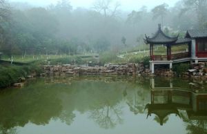 映山湖生態園 映山湖生態園