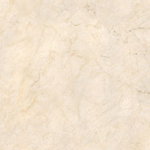 畢莎羅---X1RG8003