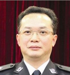 周振武[湖北省公安廳黨委委員、副廳長]