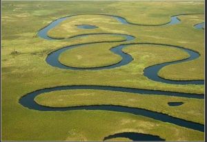 奧卡萬戈河 奧卡萬戈河