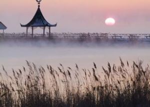 新華湖度假區 新華湖度假區