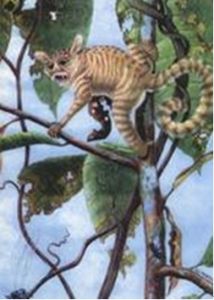 中華曙猿 中華曙猿