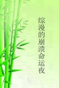 綜漫的崩潰命運夜 綜漫的崩潰命運夜