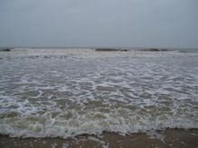 魯南海濱國家森林公園