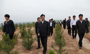 瓦崗溪組 瓦崗溪組