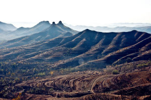 英雄“岱崮連”