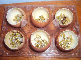 對比實驗 對比實驗