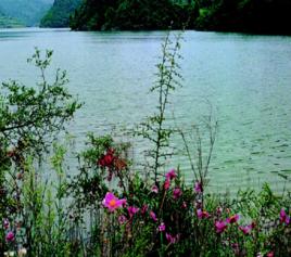 歐家灣垂釣公園景區 歐家灣垂釣公園景區