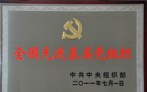 全國先進基層黨組織