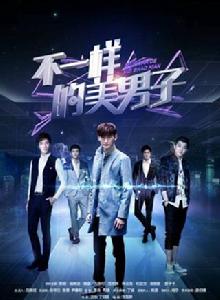 不一樣的美男子[電視劇]