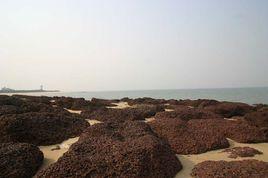 東頭山島 東頭山島