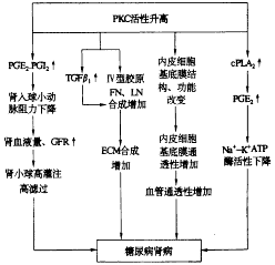 高尿酸血症腎病