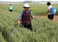 一噴三防 一噴三防