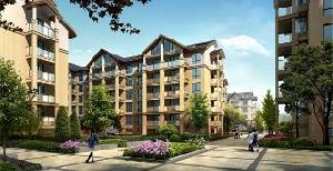 晨源衢苑風荷 晨源衢苑風荷