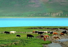 萬里藏北 萬里藏北