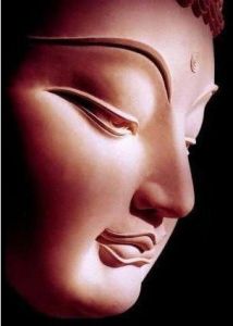 法眼[佛教五眼之一]