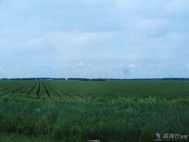 世界十大平原 世界十大平原