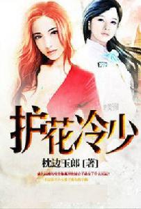 護花冷少 護花冷少