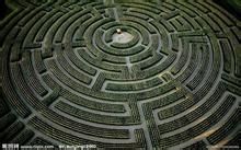 植物迷宮 植物迷宮