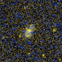 IC 2510 GALEX 彩色圖