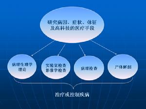 以疾病為中心的醫療手段
