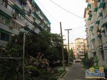 采荷玉荷外景圖