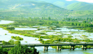 穆稜河雞西市境內段