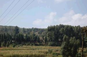 宣威龍洞 宣威龍洞