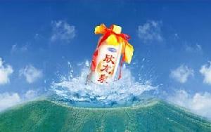 欣龍泉老窖酒 欣龍泉老窖酒