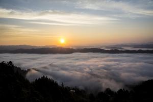 大坡鄉[貴州省習水縣大坡鄉]