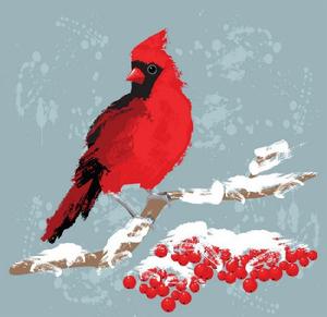 血鳥[連載版《射鵰英雄傳》里的生物]