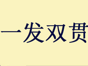 一發雙貫