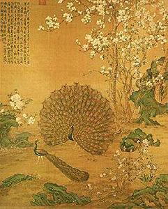 清郎世寧孔雀開屏圖 清郎世寧孔雀開屏圖