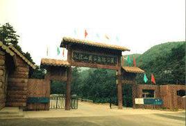 浙江九龍山國家森林公園 浙江九龍山國家森林公園