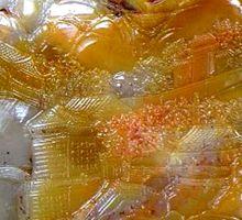 夢入江南煙水路 局部放大2