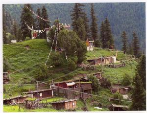 年龍宗夏寺 年龍宗夏寺