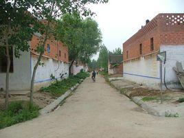 白樓村[河南省尉氏縣白樓村]