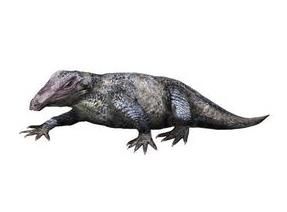 加斯馬吐龍 加斯馬吐龍