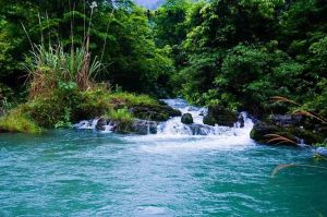 茂蘭喀斯特森林