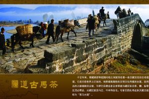 麗江茶馬古道 麗江茶馬古道