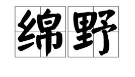 綿野 綿野