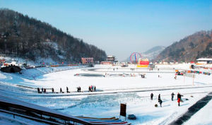 千葉湖滑雪場 千葉湖滑雪場