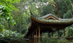 留余山居 留余山居